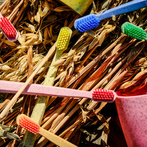 Bunte Zahnbürsten mit unterschiedlichen Borstenfarben auf trockenem Stroh mit einem rosa Becher auf der rechten Seite.