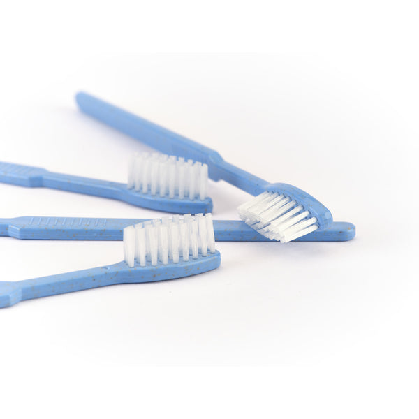 Drei Dr. Bauer's Einmalzahnbürsten -STROH- 100er Blau mit weißen Borsten und integrierter Zahnpasta liegen ordentlich auf einer weißen Oberfläche.