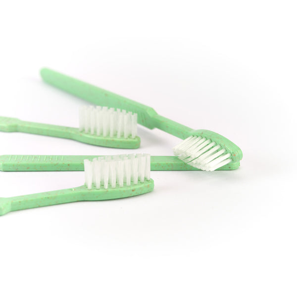 Vier Dr. Bauer's Einmalzahnbürsten -STROH- 100er Grün mit weißen Borsten liegen auf einer weißen Fläche. Die biologisch abbaubaren Zahnbürsten von Dr. Bauer's sind ideal für umweltbewusste Nutzung unterwegs.