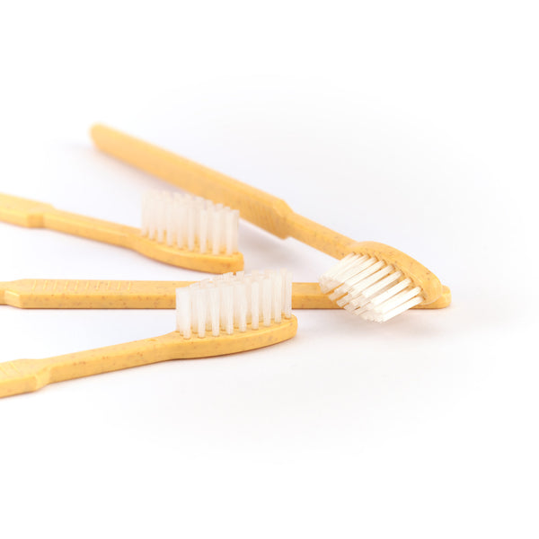 Vier orangefarbene Dr. Bauer's Einmalzahnbürsten -STROH- mit weißen Borsten von Dr. Bauer's sind auf einer weißen Fläche vor weißem Hintergrund angeordnet.