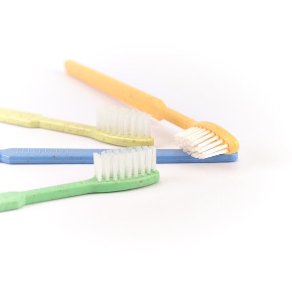 Dr. Bauer's Einmalzahnbürsten -STROH- 100er MIX in orange, grün, blau und gelb liegen auf weißem Hintergrund; jede enthält integrierte Zahnpasta für hygienische Anwendung unterwegs.