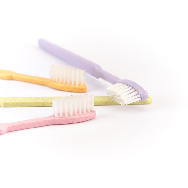 Vier Dr. Bauer's Einmalzahnbürsten -STROH- 100er MIX (violett, orange, rot, gelb) mit integrierter Zahnpasta sind auf weißem Hintergrund abgebildet.