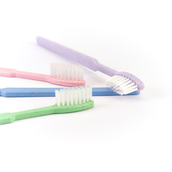 Vier bunte Dr. Bauer's Einmalzahnbürsten -STROH- (violett, grün, blau, rot) hygienisch verpackt, angeordnet auf weißem Hintergrund.