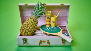 Ein Koffer mit einer Ananas, einem Seil, einem Paddel mit Aloha, Zahnpasta, einer Tasse und einer Zahnbürste auf grünem Hintergrund.