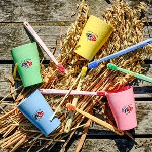 Vier bunte Becher und sechs Zahnbürsten, die auf Stroh und Holzbrettern im Sonnenlicht angeordnet sind.