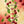 Dr. Bauer's Zahnpasta Active Love Cherry Lady 90ml 4er Pack