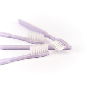 Drei Dr. Bauer's Einmalzahnbürsten -STROH- 100er Violett mit weißen Borsten sind auf einer weißen Oberfläche angeordnet.
