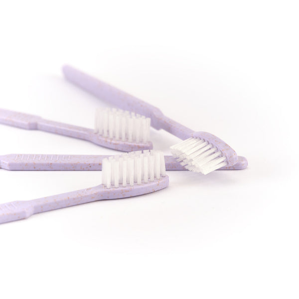 Drei Dr. Bauer's Einmalzahnbürsten -STROH- 100er Violett mit weißen Borsten sind auf einer weißen Oberfläche angeordnet.