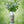 Dr. Bauer's Extreme Love Mundspray 50ml
