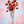Dr. Bauer's toothpaste First Love Sweet Berries 50ml