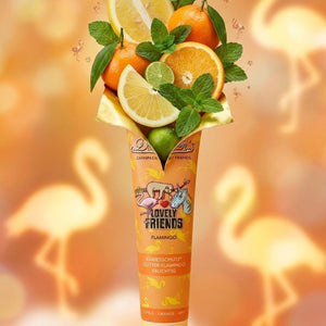 Dr. Bauer's Toothpaste Lovely Friends Flamingo 90ml