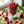 Dr. Bauer's Zahnpasta First Love Sweet Berries 50ml, 2er Pack