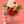 Eine Schale Erdbeeren mit Schlagsahne steht neben einer Tube Dr. Bauer's Zahnpasta Lovely Friends Teddy 90ml, aber die mitgelieferte Produktbeschreibung enthält nur den CSS-Code und keine eigentlichen Produktinformationen.