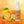 Dr. Bauer's Golden Dream Mundspray 50ml