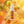 Dr. Bauer's Mundspray 50ml, alle Sorten