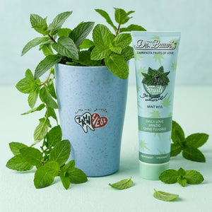 Eine Minzpflanze in einem blauen Topf steht neben einer Tube Dr. Bauer's Zahnpasta Fruits of Love Mint Kiss 90ml auf einer hellgrünen Fläche und unterstreicht die natürliche Zahnpflege und die erfrischende Essenz der Minze von Dr. Bauer's.