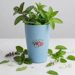 Eine blaue Tasse mit Minzblättern, umgeben von weiterer Minze und klaren Steinen auf einer weißen Oberfläche - perfekt, um Dr. Bauer's Zahnpasta Fruits of Love Mint Kiss 90ml von Dr. Bauer's mit seinem frischen Minzgeschmack und der fluoridfreien Formel zu präsentieren.
