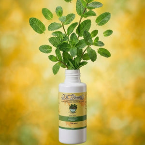 Dr. Bauer's Mundspülung Fruits of Love Mint Kiss 700ml