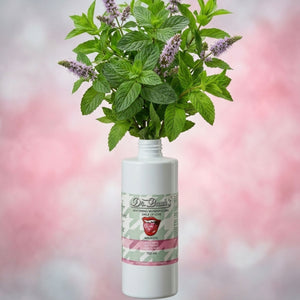 Dr. Bauer's Whitening Mundspülung Smile of Love Mintastic 700ml