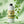 Dr. Bauer's Mundspülung Fruits of Love Mint Kiss 700ml