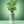 Dr. Bauer's Mundspülung Mineral Love Original Freshness 700ml