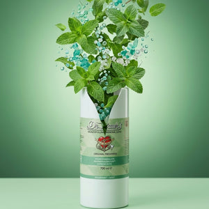 Dr. Bauer's Mundspülung Mineral Love Original Freshness 700ml