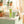 Dr. Bauer's Zahnpasta Active Love Orangen Sorbet 90ml