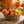 Dr. Bauer's Zahnpasta Active Love Orangen Sorbet 90ml