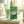 Dr. Bauer's Xylinetten Pfefferminz 60g