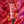 Dr. Bauer's Zahnpasta Active Love Redberries 90ml 4er Pack
