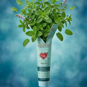 Dr. Bauer's Zahnpasta Active Love Single Love 90ml 4er Pack