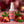 Dr. Bauer's Sweet Kiss Mundspray 50ml